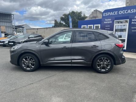 FORD Kuga 1.5 EcoBlue 120ch ST-Line Business à vendre à Orléans - Image n°8