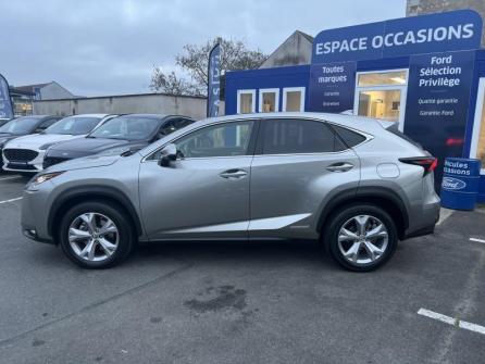 LEXUS NX 300h 4WD Executive à vendre à Orléans - Image n°8