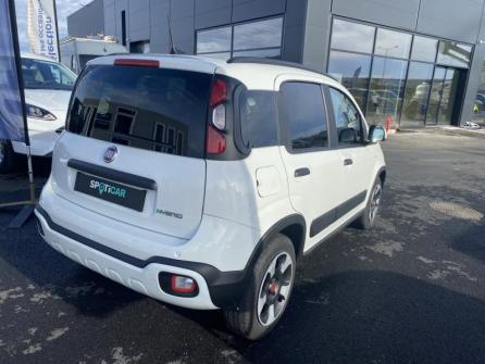 FIAT Panda 1.0 70ch BSG S&S  Cross à vendre à Châteauroux - Image n°5