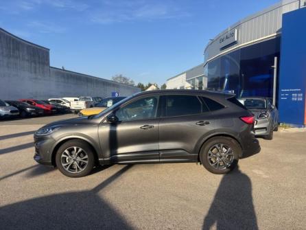 FORD Kuga 2.0 EcoBlue 120ch ST-Line X Powershift à vendre à Besançon - Image n°4